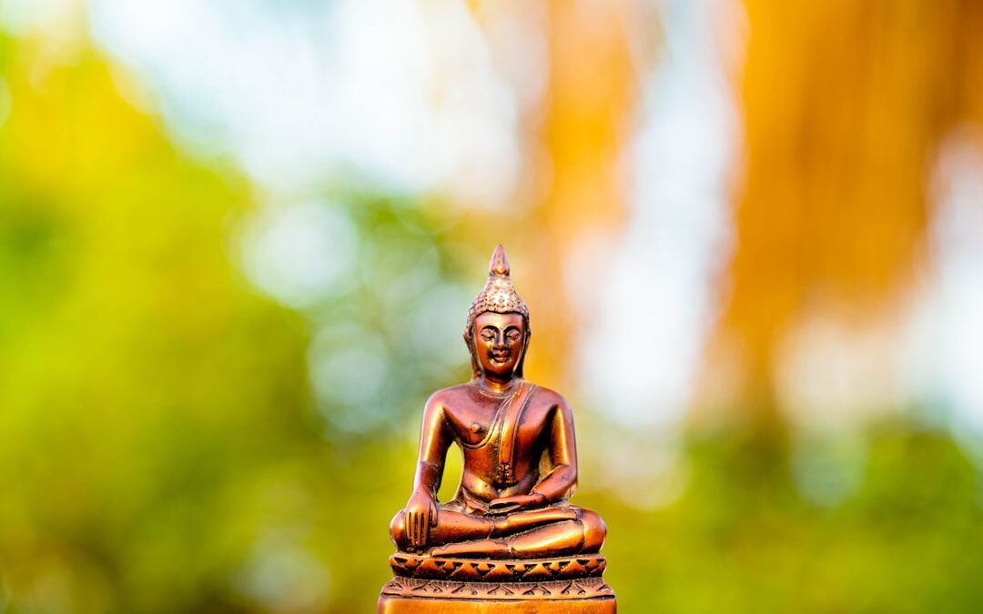 meditation in nature